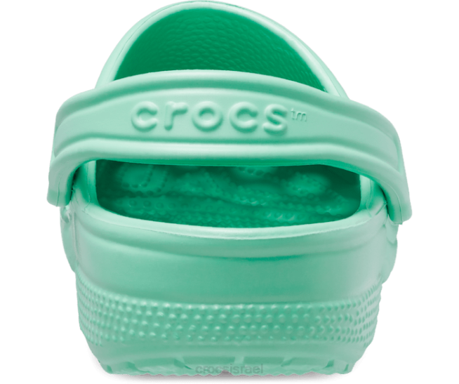 נעליים il Crocs נשים סתימה קלאסית אבן ירקן 2DZ418