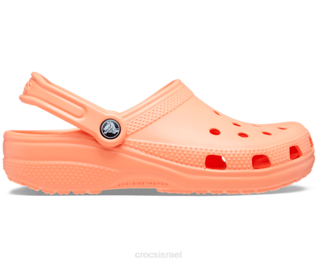 נעליים il Crocs נשים סתימה קלאסית פפאיה 2DZ433