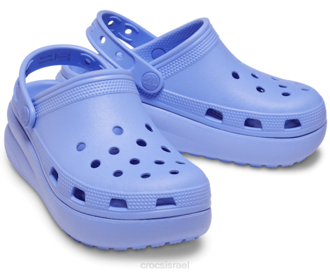 נעליים il Crocs ילדים סתימה חמודה סגול דיגיטלי 2DZ4357