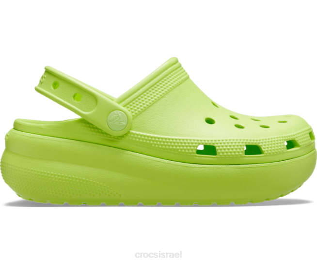 נעליים il Crocs ילדים סתימה חמודה ליים 2DZ4359