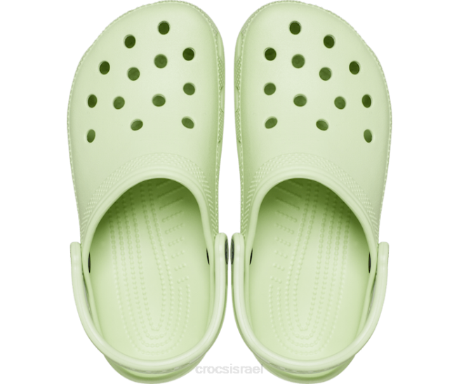 נעליים il Crocs גברים סתימה קלאסית סלרי 2DZ4413