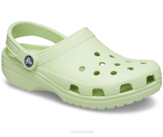 נעליים il Crocs גברים סתימה קלאסית סלרי 2DZ4413