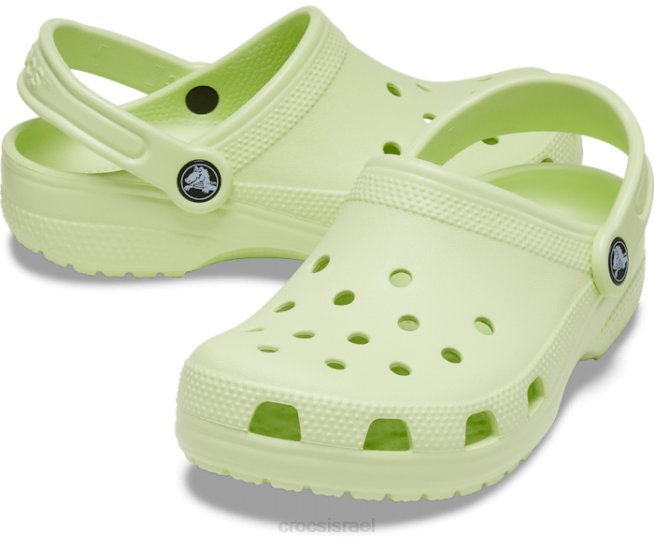נעליים il Crocs ילדים סתימה קלאסית סלרי 2DZ4485