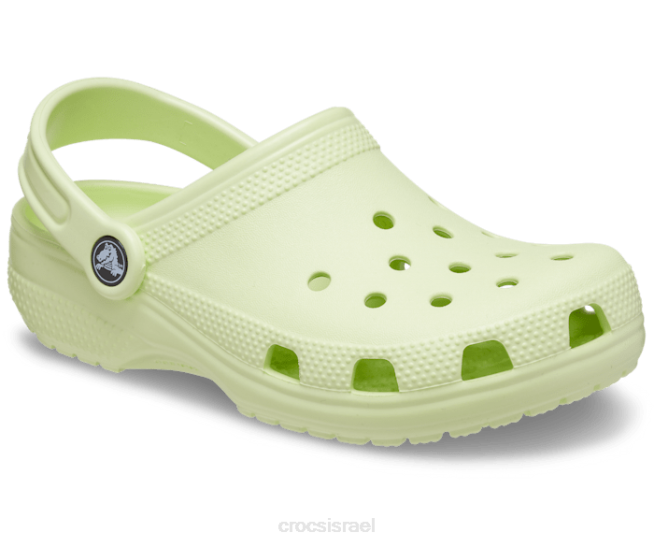 נעליים il Crocs ילדים סתימה קלאסית סלרי 2DZ4485