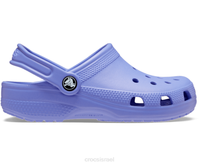נעליים il Crocs ילדים סתימה קלאסית סגול דיגיטלי 2DZ4512