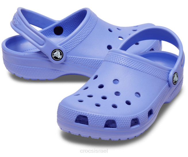 נעליים il Crocs ילדים סתימה קלאסית סגול דיגיטלי 2DZ4512