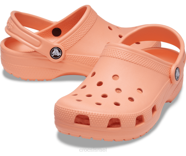 נעליים il Crocs ילדים סתימה קלאסית פפאיה 2DZ4515