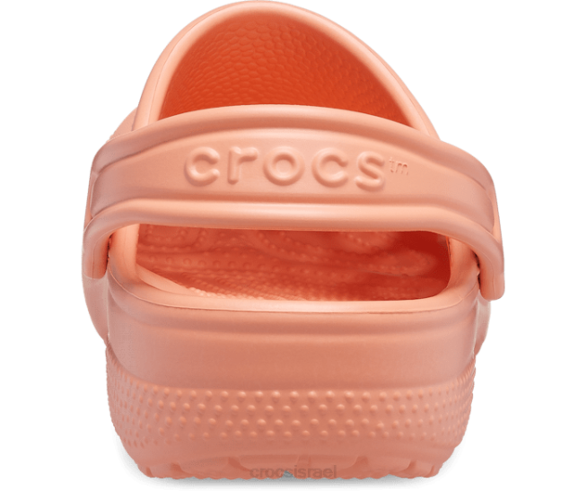 נעליים il Crocs ילדים סתימה קלאסית פפאיה 2DZ4515